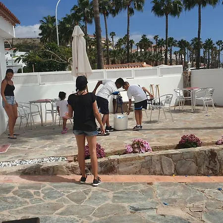 Casa Domvs 3*