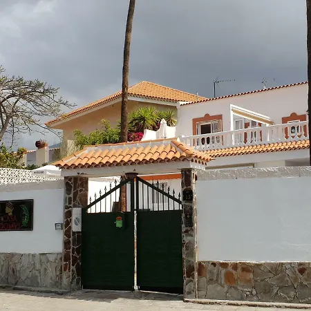 Casa Domvs