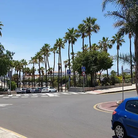 Casa Domvs