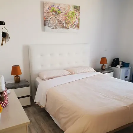 Casa Domvs
