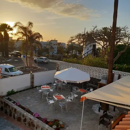 Casa Domvs